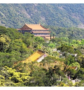 寶蓮禪寺 ｜天壇大佛｜ 棧道步行